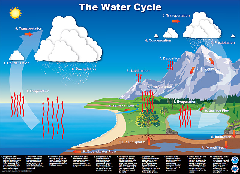 The Water Cycle - credit (NWS) released into the public domain by National Weather Service (NWS).jpg